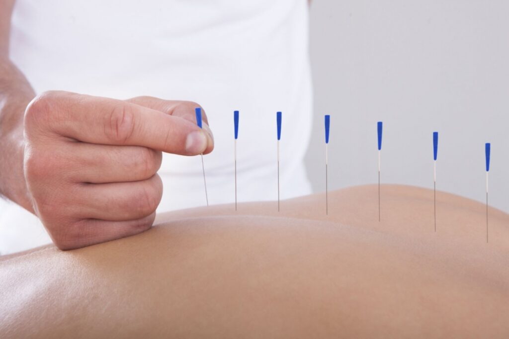کاشت نخ لاغری در شاهین شهر